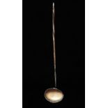 A silver toddy ladle with baleen handle, length 34cm.
