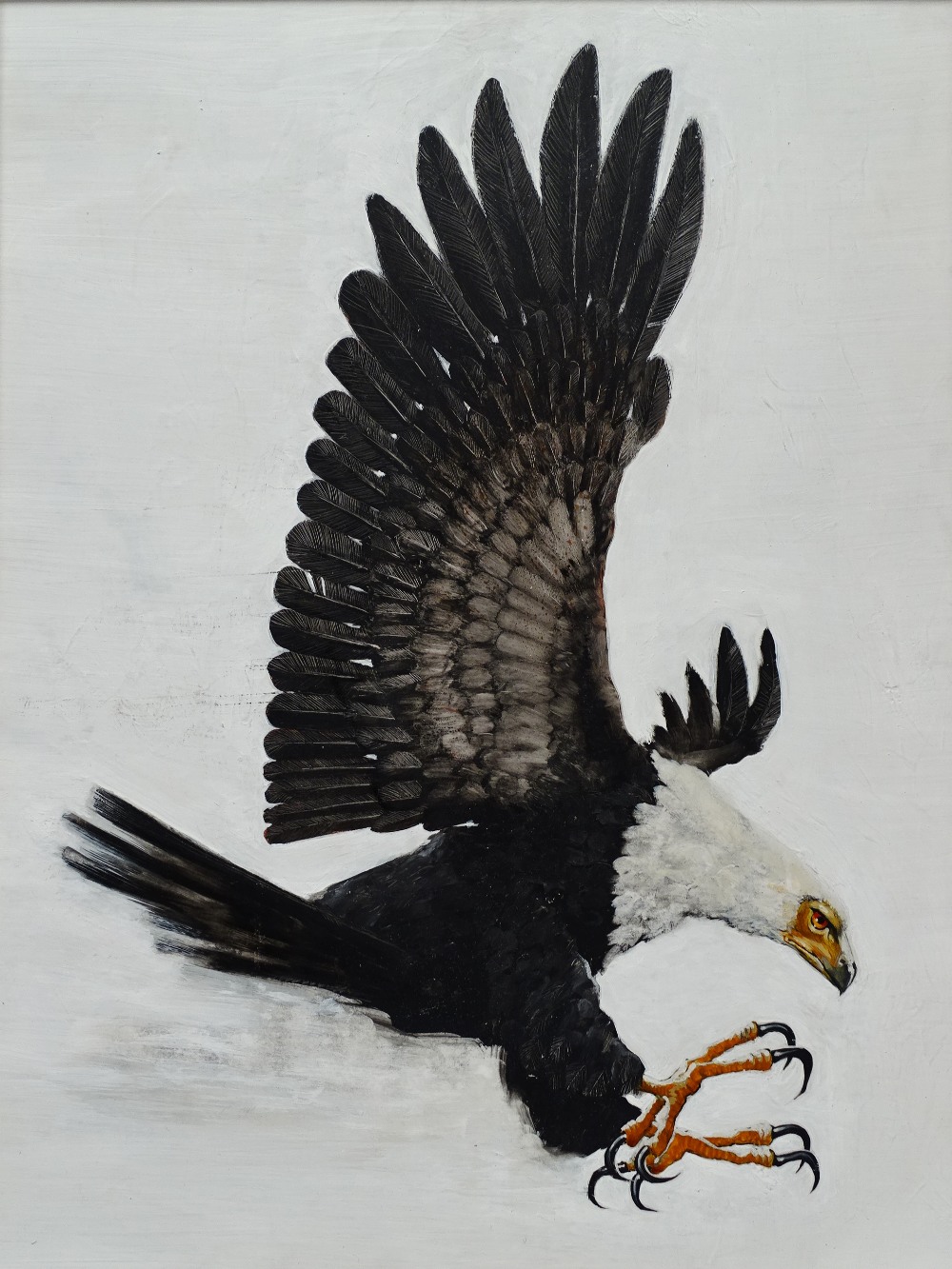 GABRIELLE ALLOTSON (XX) Zambia The African Fish Eagle Oil on panel Inscribed verso Framed Picture - Image 2 of 10