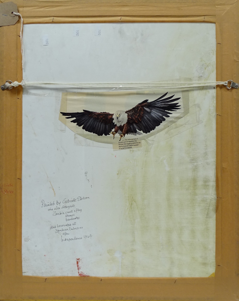GABRIELLE ALLOTSON (XX) Zambia The African Fish Eagle Oil on panel Inscribed verso Framed Picture - Image 10 of 10