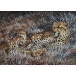 DAVID PARRY (1947) Cheetah And Cubs Watercolour Signed Framed and glazed Picture size 36 x 50.5cm