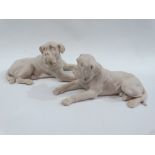 White composition marble dogs - Two recumbent hounds, largest length 30cm.