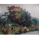 GEOFF OGDEN (1929) Roadside Tree Oil on board Initialled Framed Picture size 39.5 x 49.5cm Overall