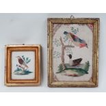 19th century feather pictures - Two feather pictures on watercolour backgrounds in giltwood