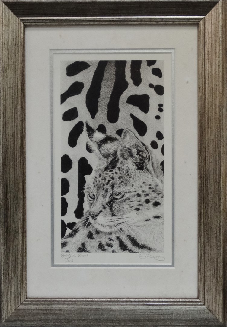 SARAH FILKINS Splodges! Serval Limited edition print 187/275 Signed in pencil to mount Framed and - Image 2 of 5