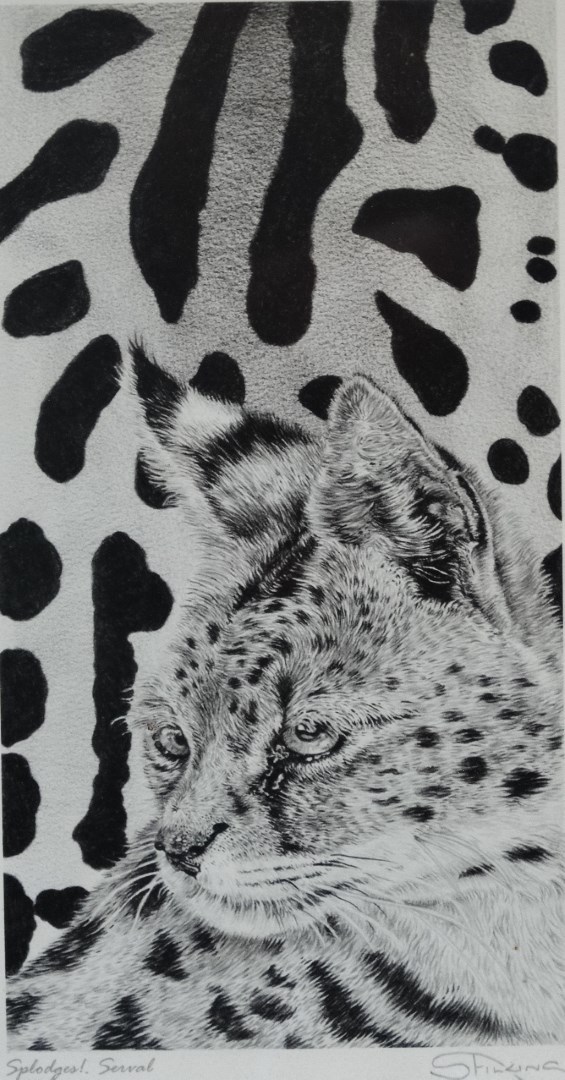 SARAH FILKINS Splodges! Serval Limited edition print 187/275 Signed in pencil to mount Framed and