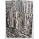 AMY JONES (1899-1992) Constantine Woods Charcoal on hand made paper Signed and bears label verso