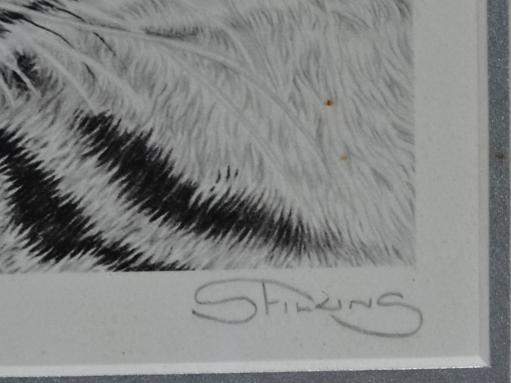 SARAH FILKINS Splodges! Serval Limited edition print 187/275 Signed in pencil to mount Framed and - Image 4 of 5