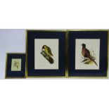 DAVID ANDREWS (1934) Pheasant Watercolour on paper Signed lower left Framed and glazed Picture