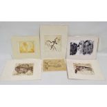 KATE HALL Archeopteryx Etching Signed, numbered and titled Picture size 18 x 18cm Overall size 38