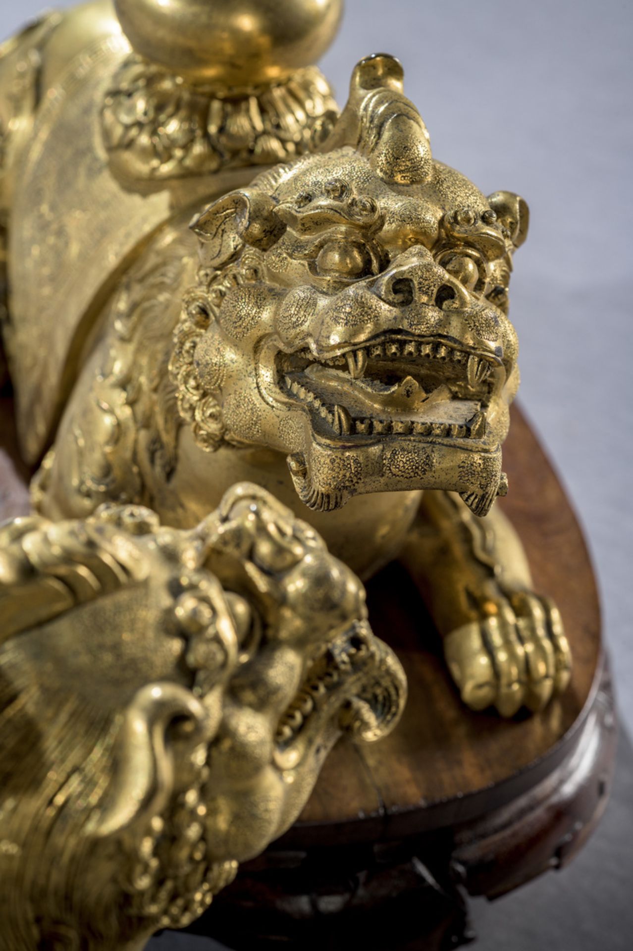 A fine pair of gilt bronze mythical lions on hardwood stands, China Qing dynasty (14.5 x 22.5 x 10 - Image 2 of 6