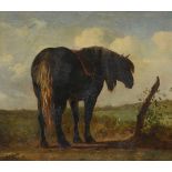 Alfred Verwee: painting (o/p) 'horse' (51x57cm) (*)