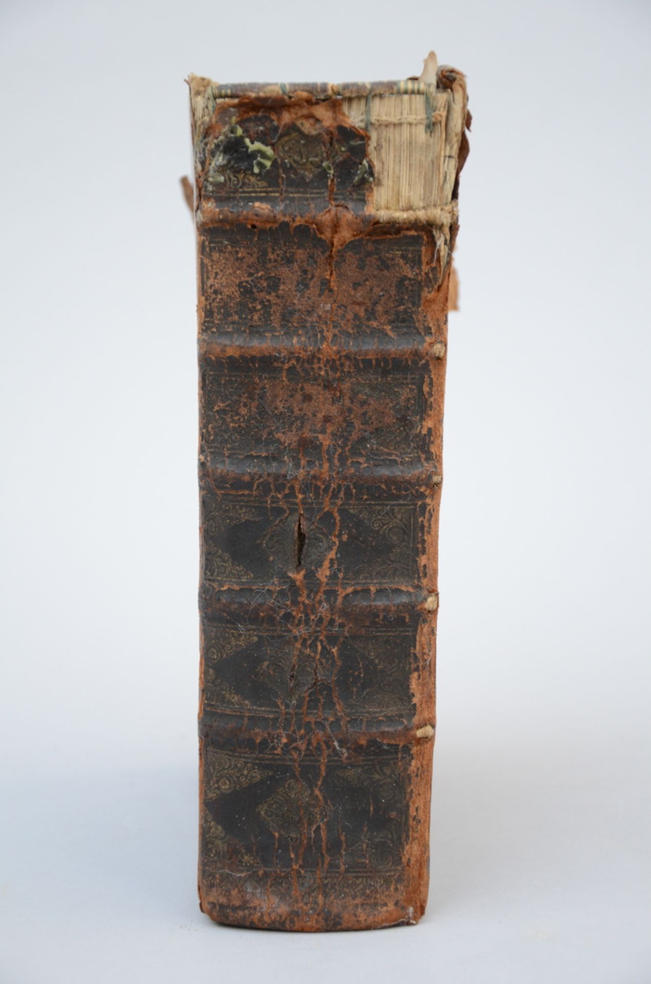 Book: 'de levens der Heylige van Nederlant', 1705 (26x20cm)(*) - Bild 3 aus 5