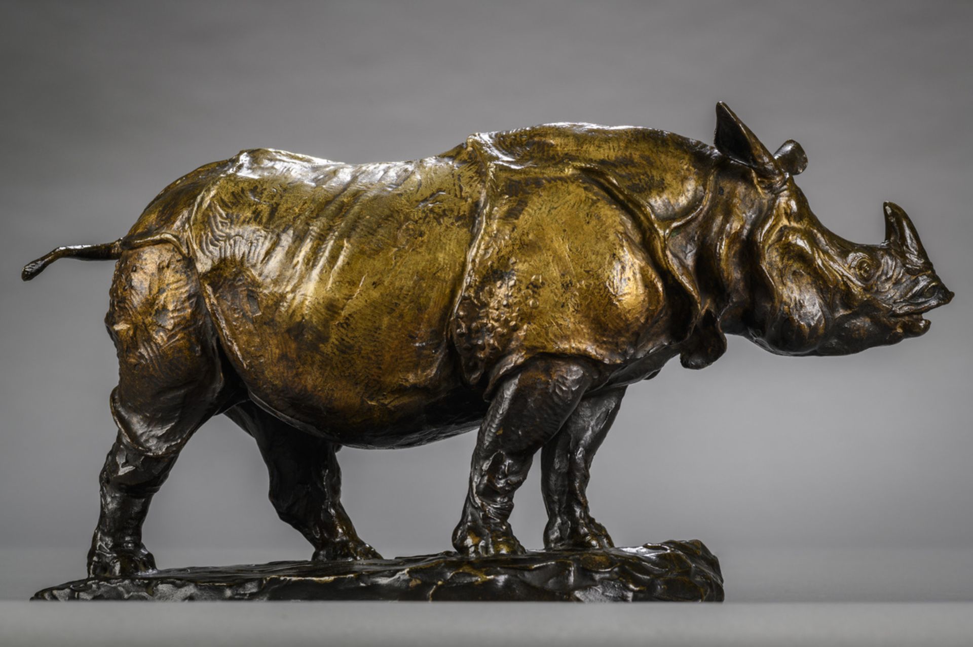 Edouard Navellier: rare bronze sculpture 'Rhinocéros de l'Inde', inscription: engraved and patinated - Image 2 of 7