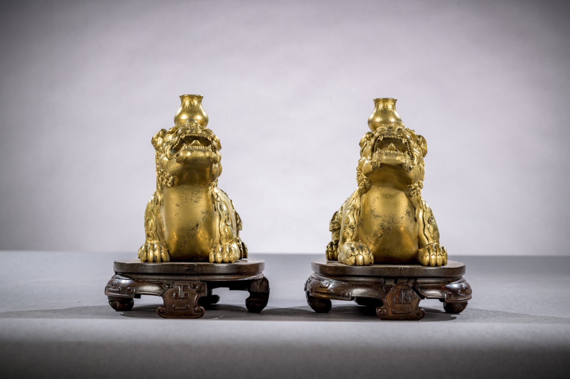 A fine pair of gilt bronze mythical lions on hardwood stands, China Qing dynasty (14.5 x 22.5 x 10 - Image 5 of 6