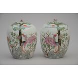 A pair of Chinese porcelain ginger jars 'phoenixes' (h29cm) (*)