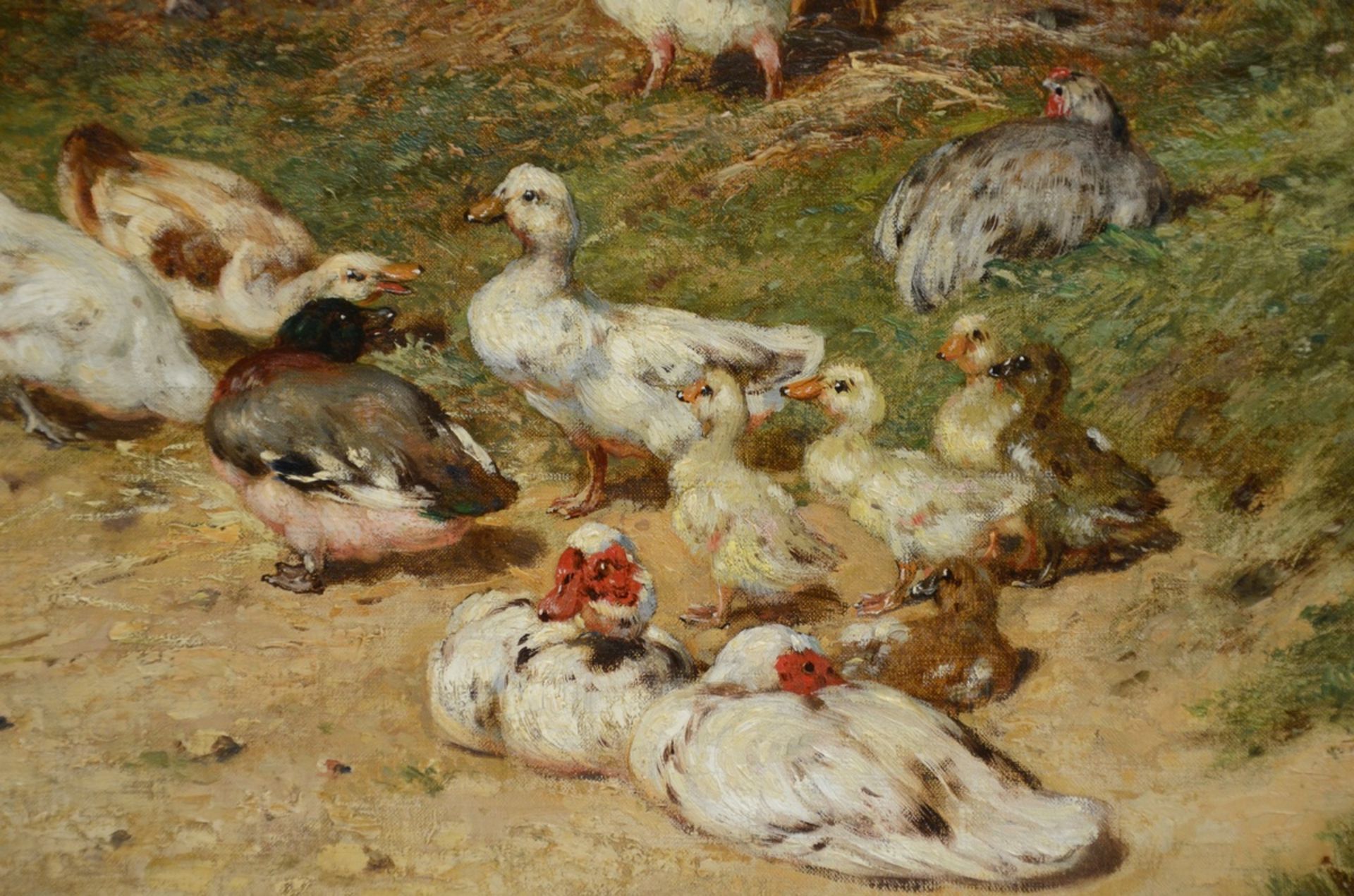 P. Leon Couturier (1868): painting (o/c) 'birds' (60x92cm) - Image 3 of 5