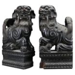 LARGE PAIR OF CHINESE HARDWOOD FOO DOGS, 19/20TH CENTURY. Each well carved with floating balls in