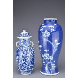 TWO CHINESE BLUE AND WHITE PORCELAIN VASES, 19TH CENTURY