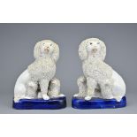 PAIR OF 19TH CENTURY STAFFORDSHIRE PORCELAIN POODLES WITH PUPS with part encrusted bodies seated