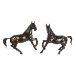 Couple bronze horses
