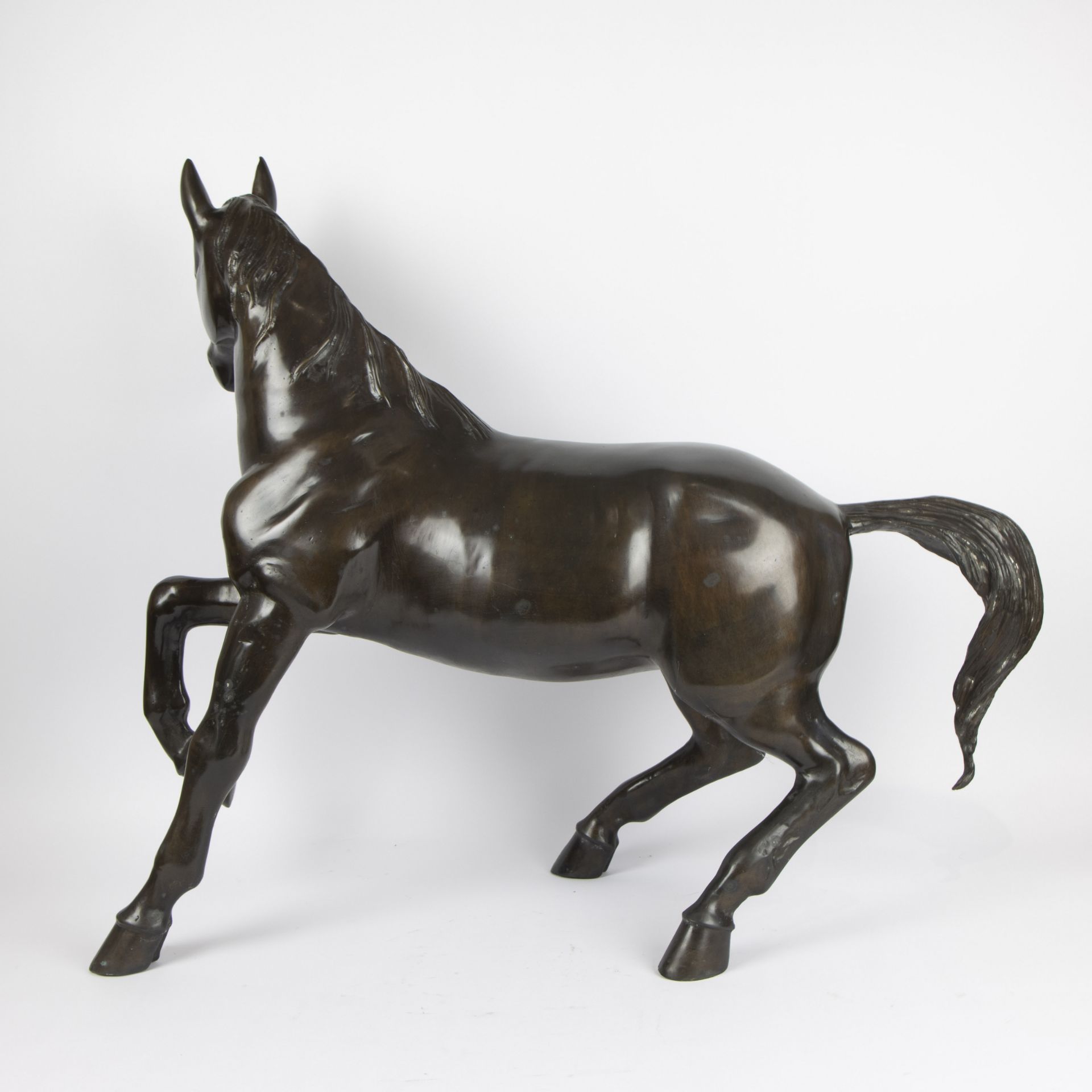 Couple bronze horses - Bild 9 aus 9