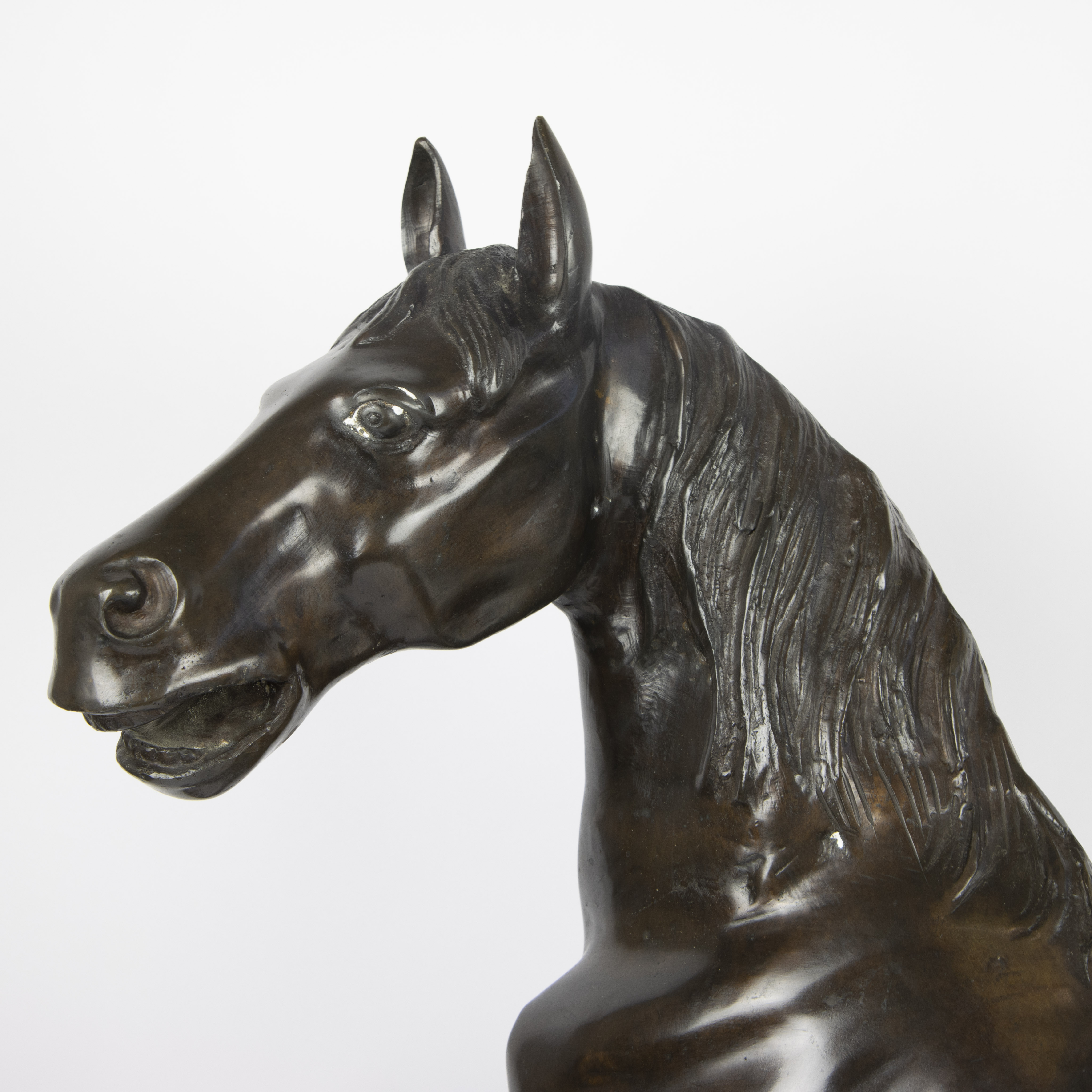 Couple bronze horses - Image 4 of 9