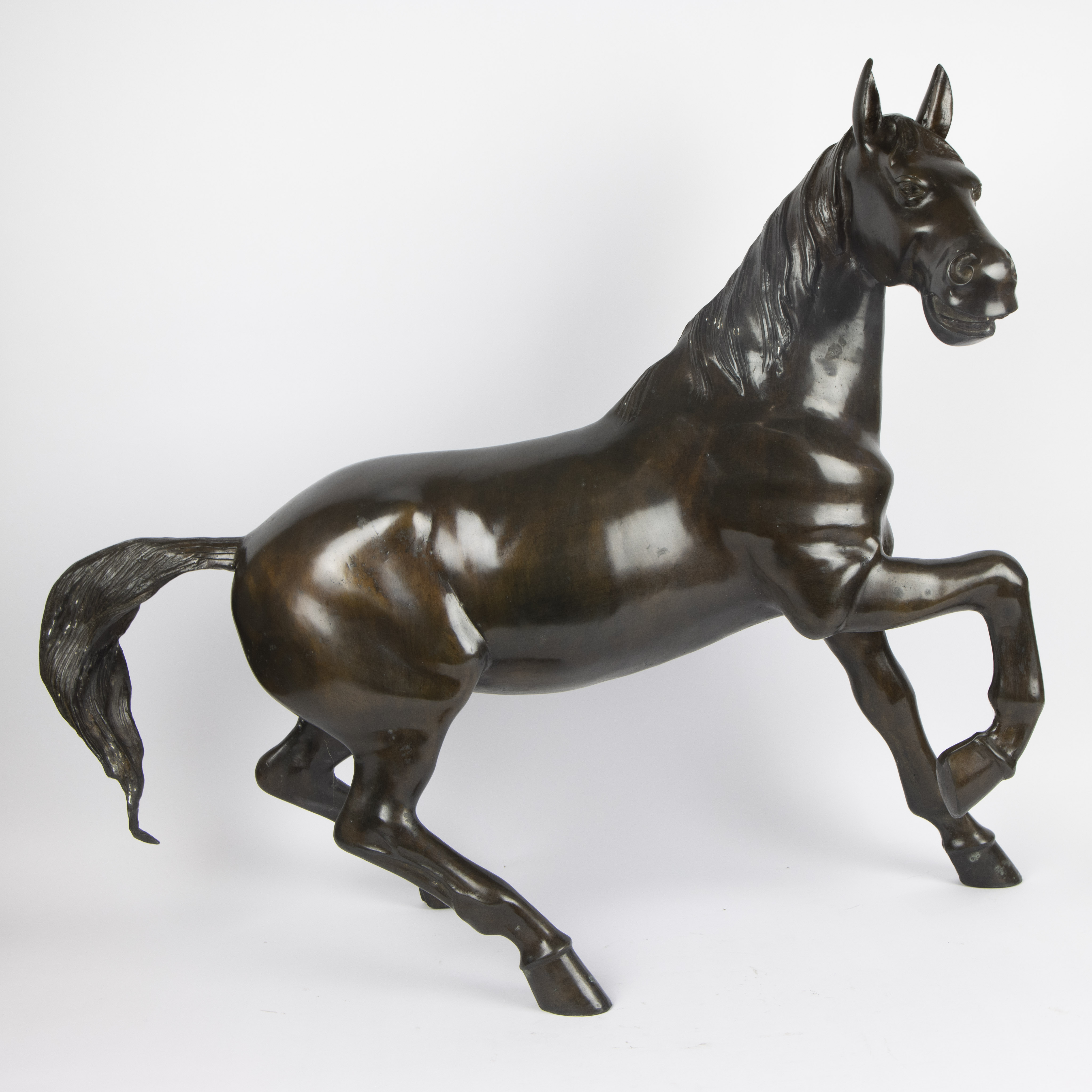 Couple bronze horses - Image 7 of 9