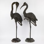 A pair of large bronze cranes