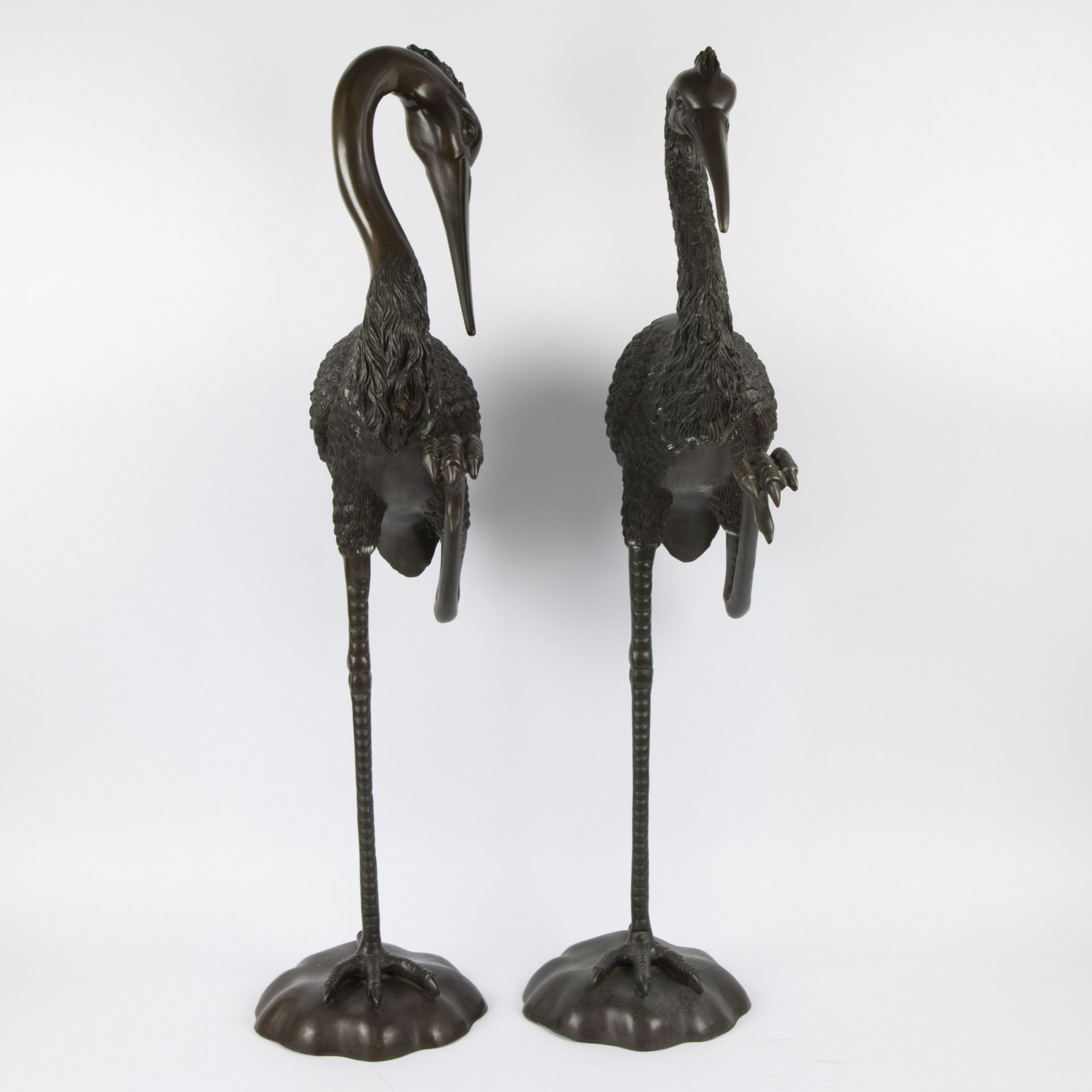 A pair of large bronze cranes - Bild 2 aus 4
