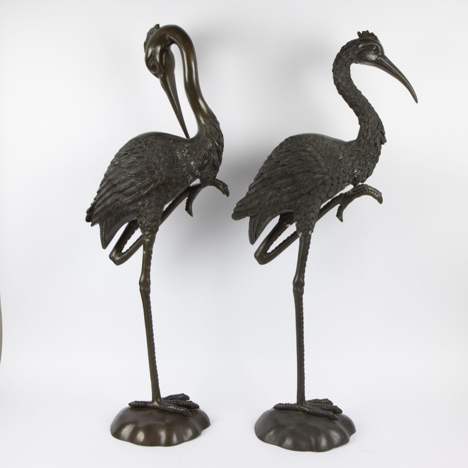 A pair of large bronze cranes - Bild 3 aus 4