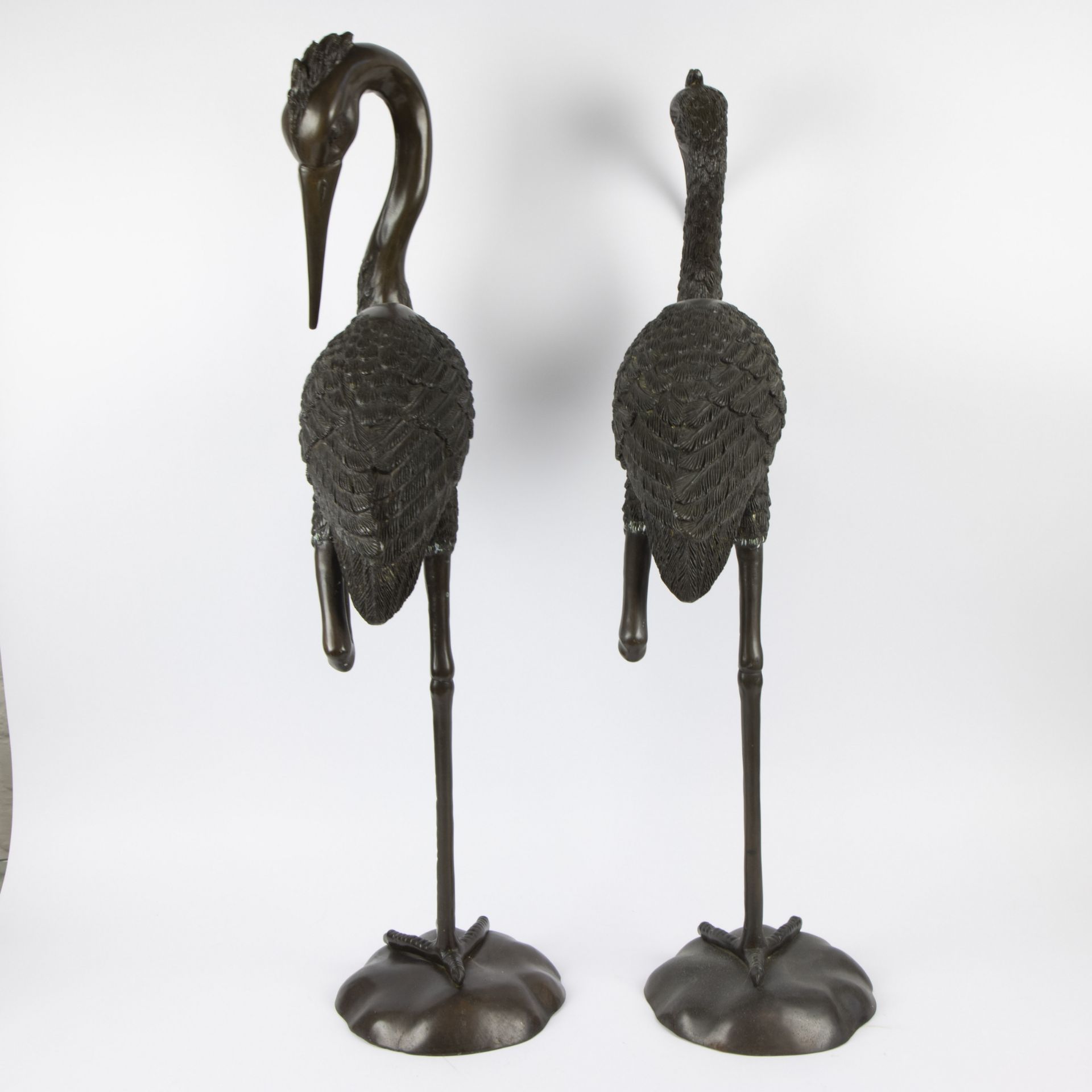 A pair of large bronze cranes - Bild 4 aus 4