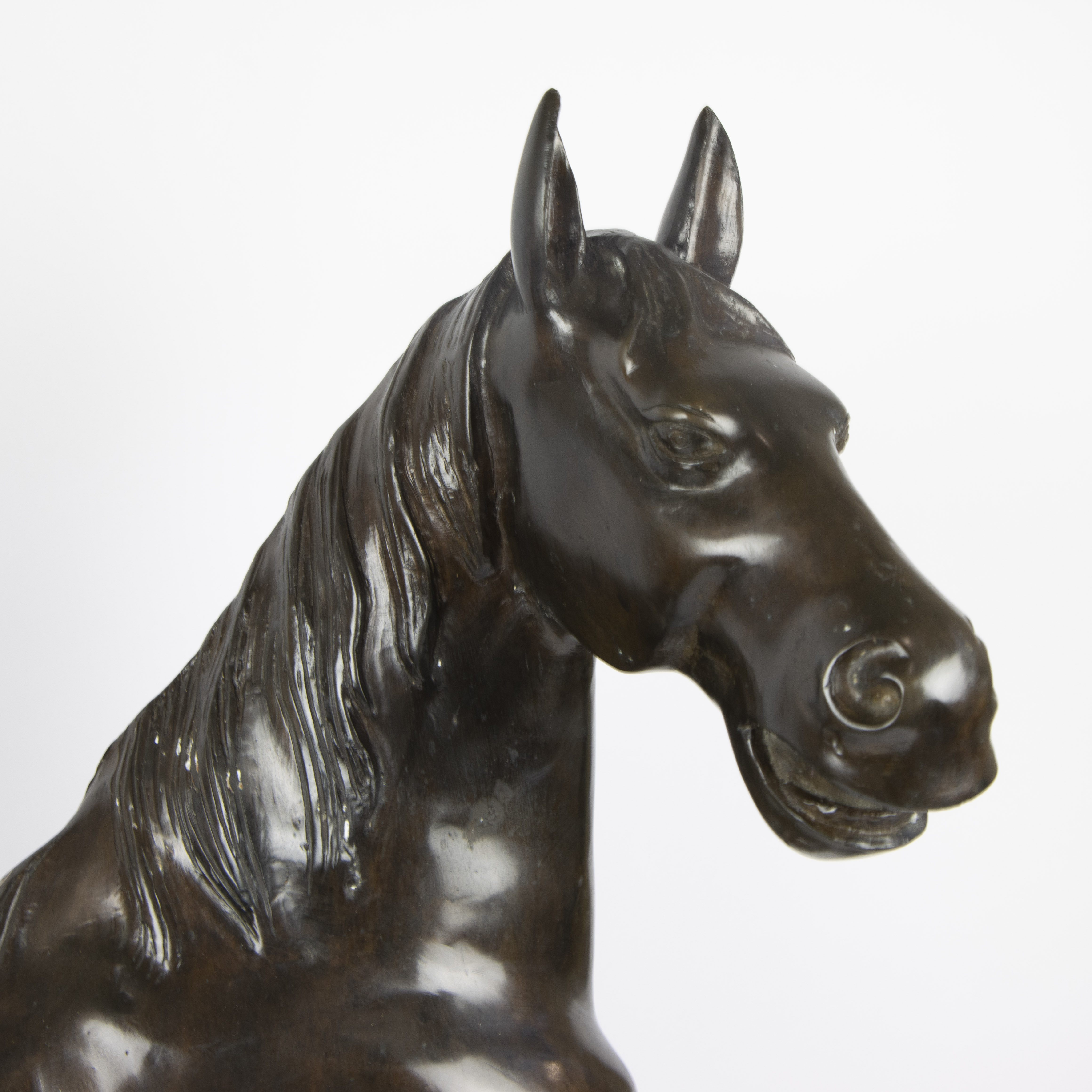 Couple bronze horses - Image 8 of 9