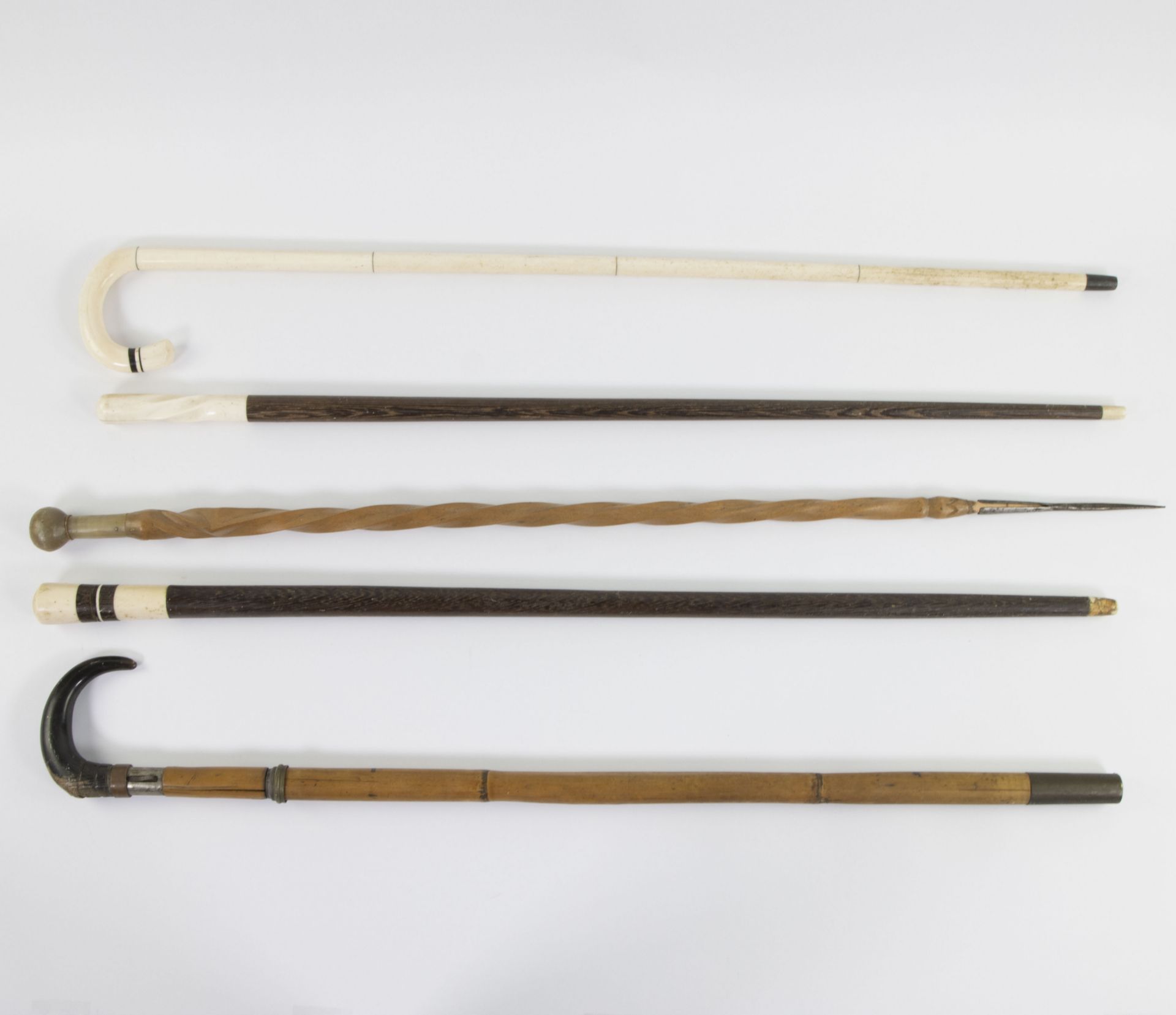 Collection of 5 walking sticks with one hidden sword cane