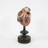 Anatomical model of a heart 19th century