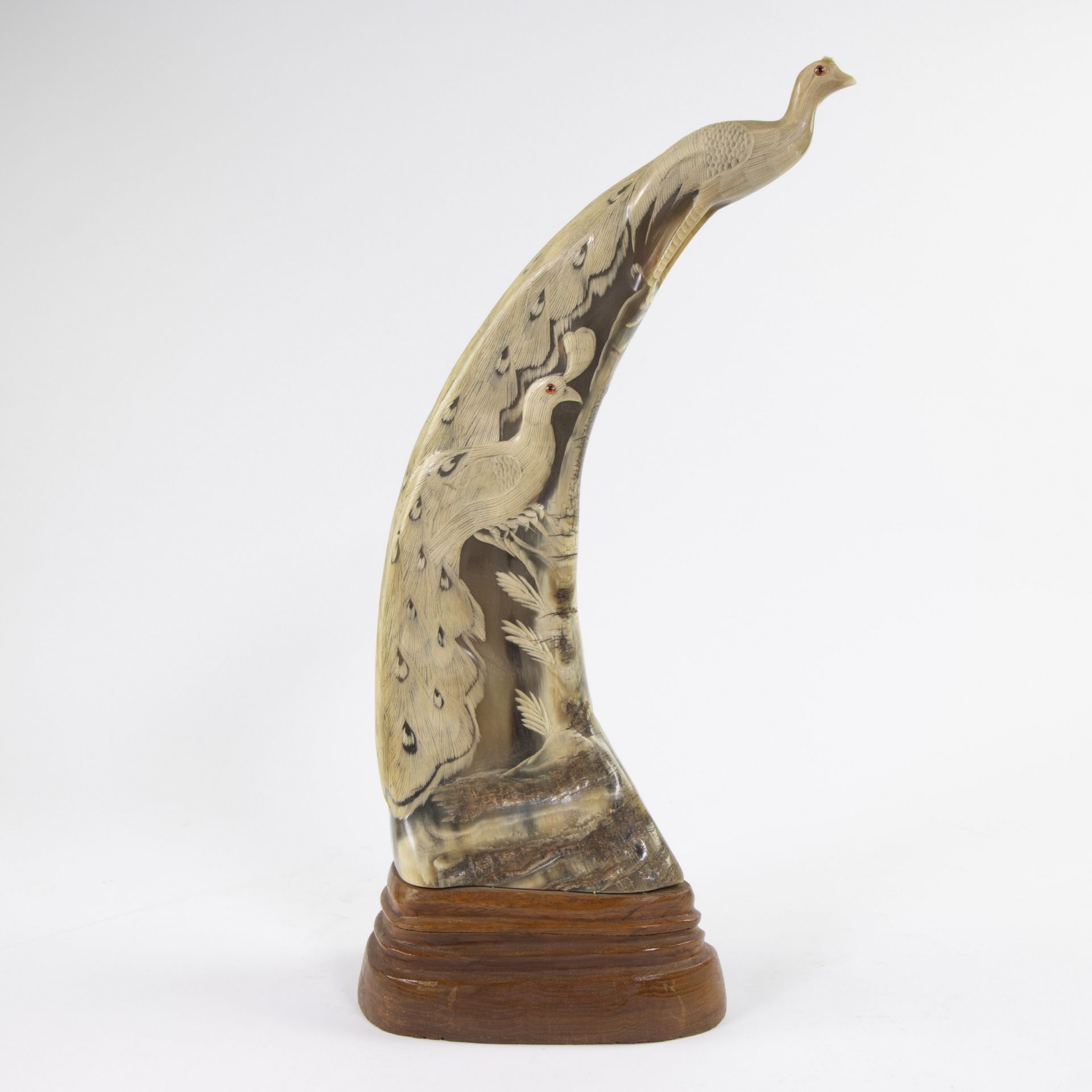 Very finely sculpted horn in the shape of a peacock with peacock motif - Bild 3 aus 4