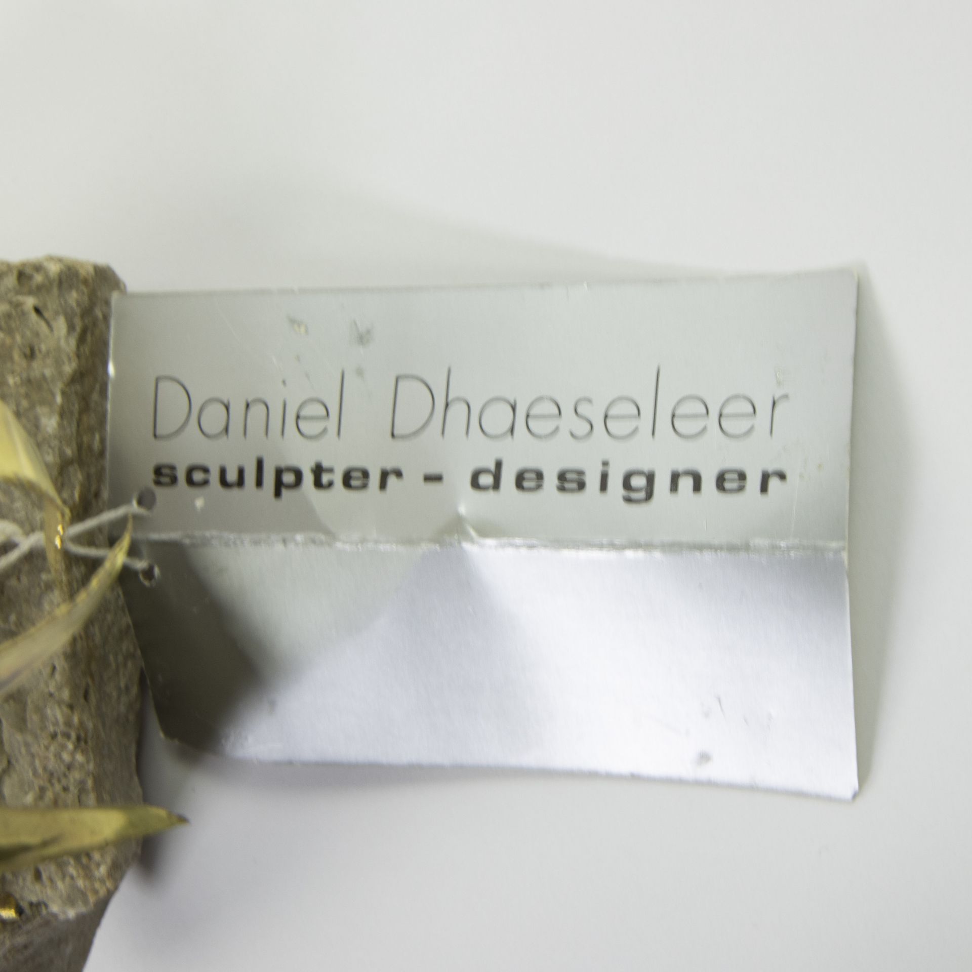 Daniel DHAESELEER (XX-XXI) - Image 6 of 6