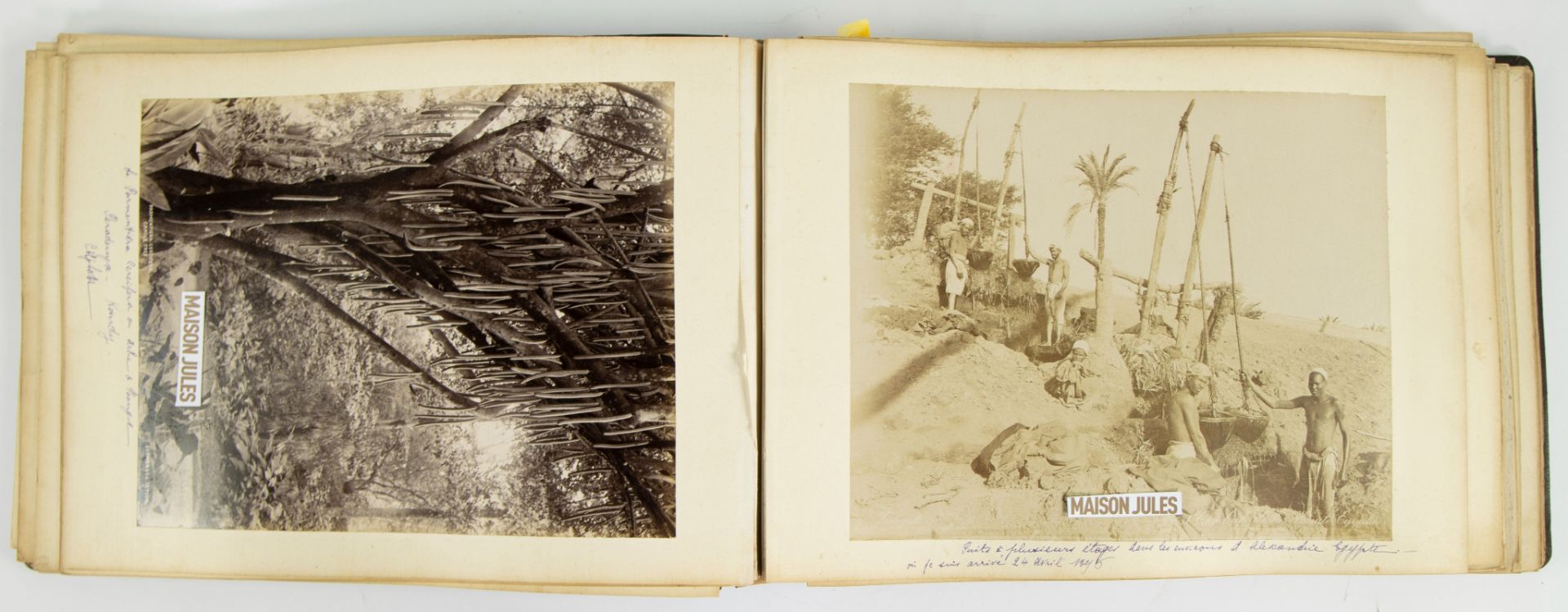 Photo album: A Belgian fellowship embarks on a world tour from 1896 to 1897 - Image 2 of 5
