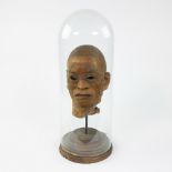 Head in wax with hair under a bell jar, ca 1880