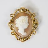 Golden cameo (can be seen in portrait wife Jules Van Loo)