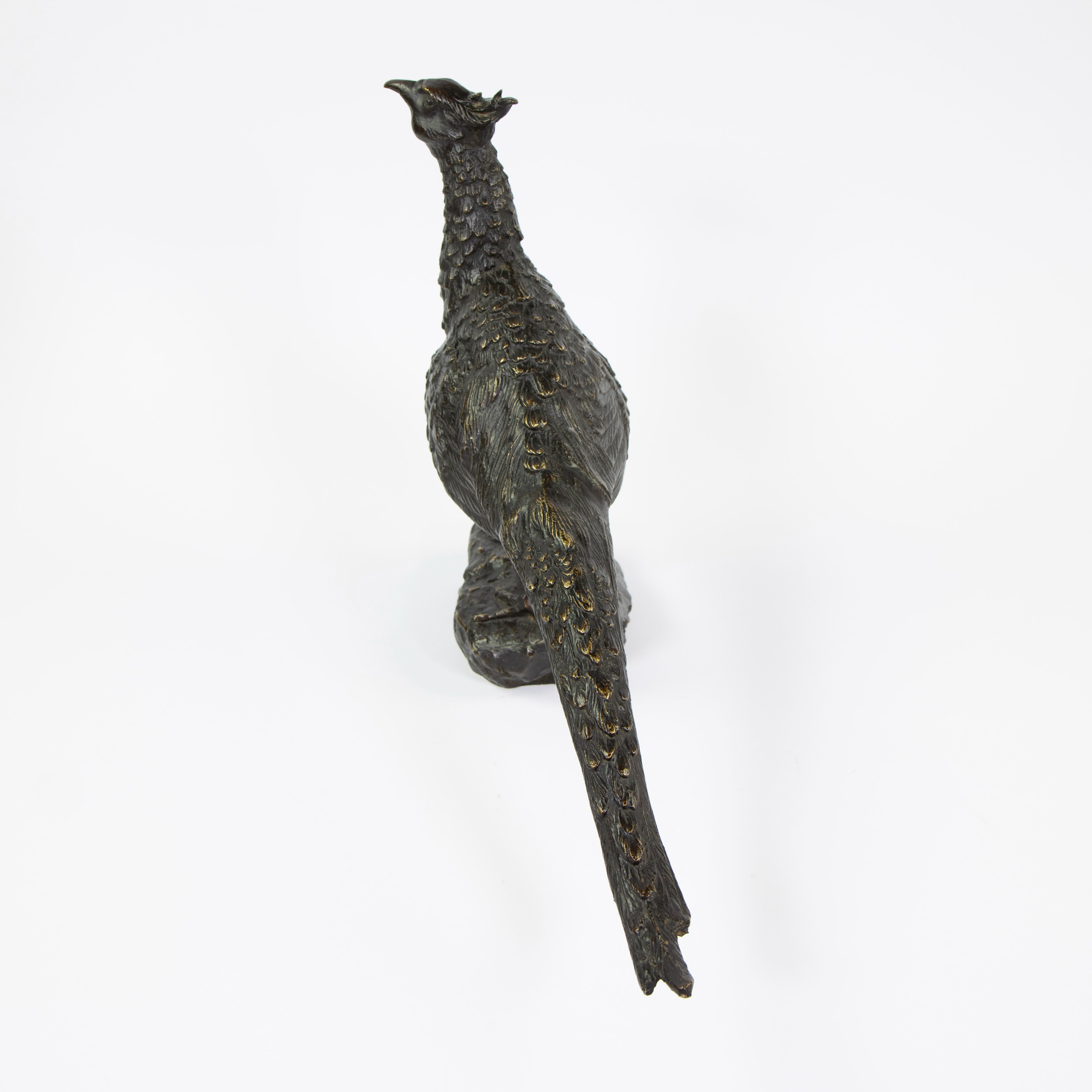 Antonio AMORGASTI (1880-1942), patinated and partly gilt bronze pheasant, signed and dated 1920. - Image 4 of 6