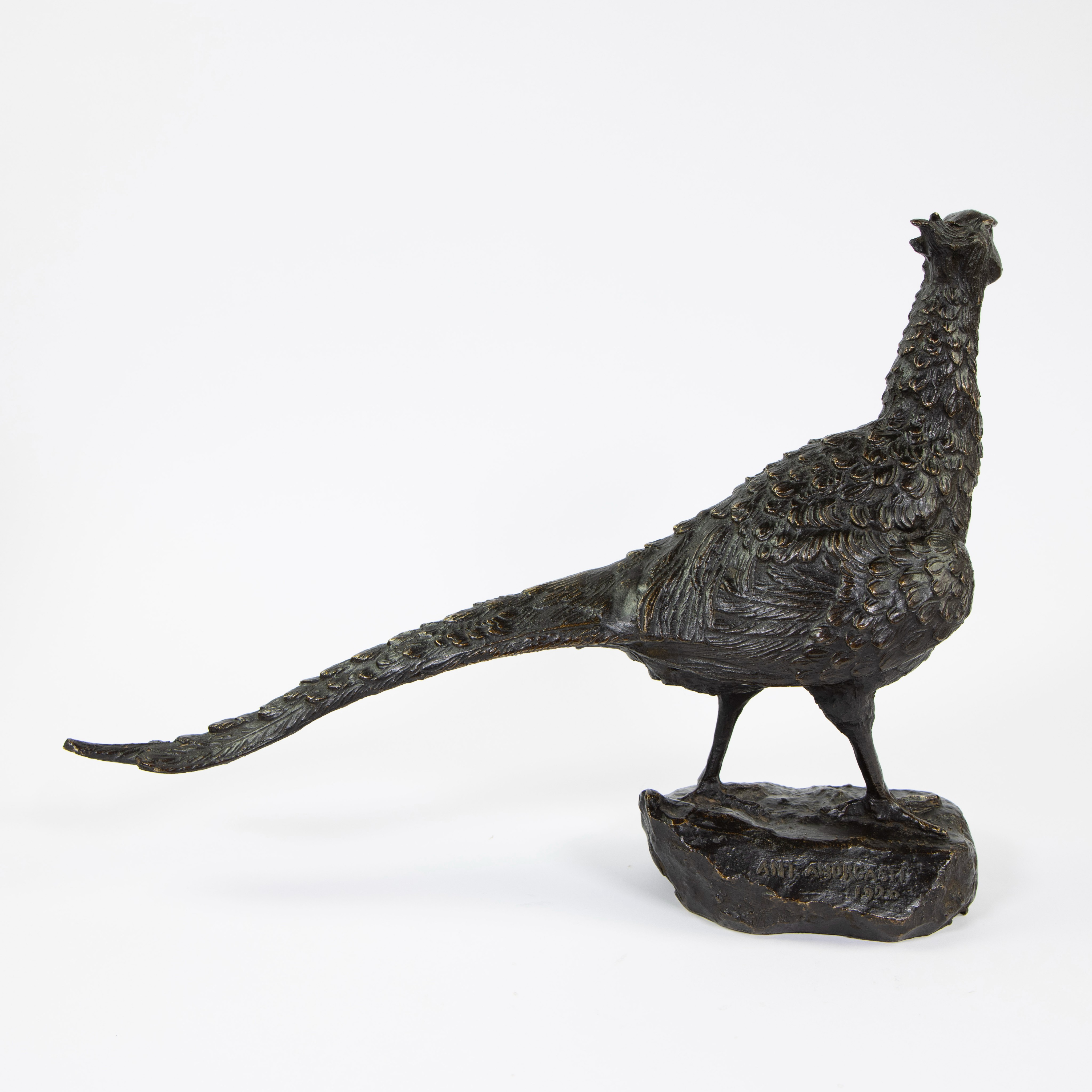 Antonio AMORGASTI (1880-1942), patinated and partly gilt bronze pheasant, signed and dated 1920. - Image 5 of 6