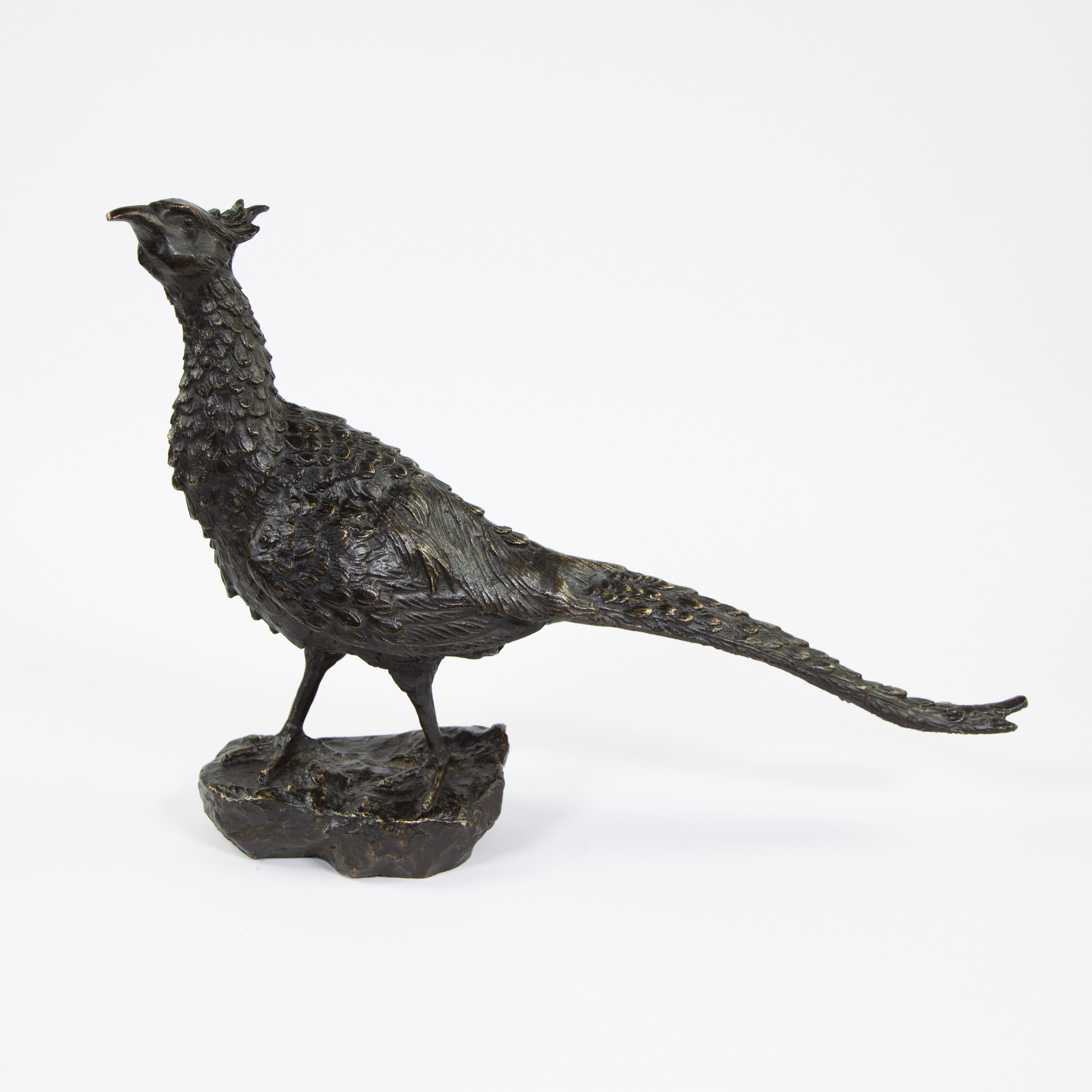 Antonio AMORGASTI (1880-1942), patinated and partly gilt bronze pheasant, signed and dated 1920. - Image 2 of 6