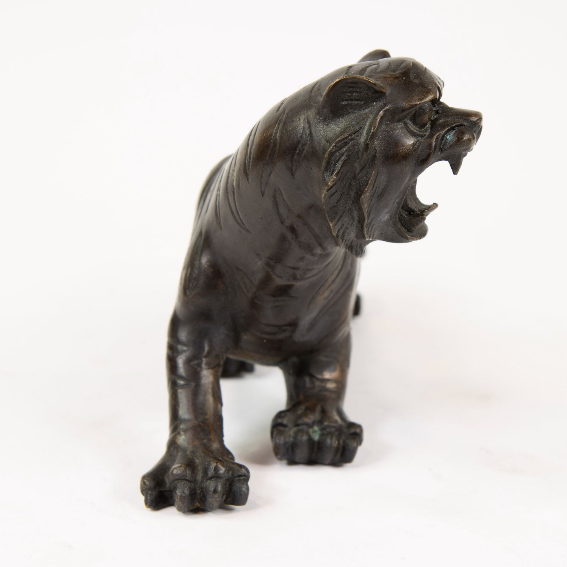 Bronze tiger, not signed. - Image 5 of 5