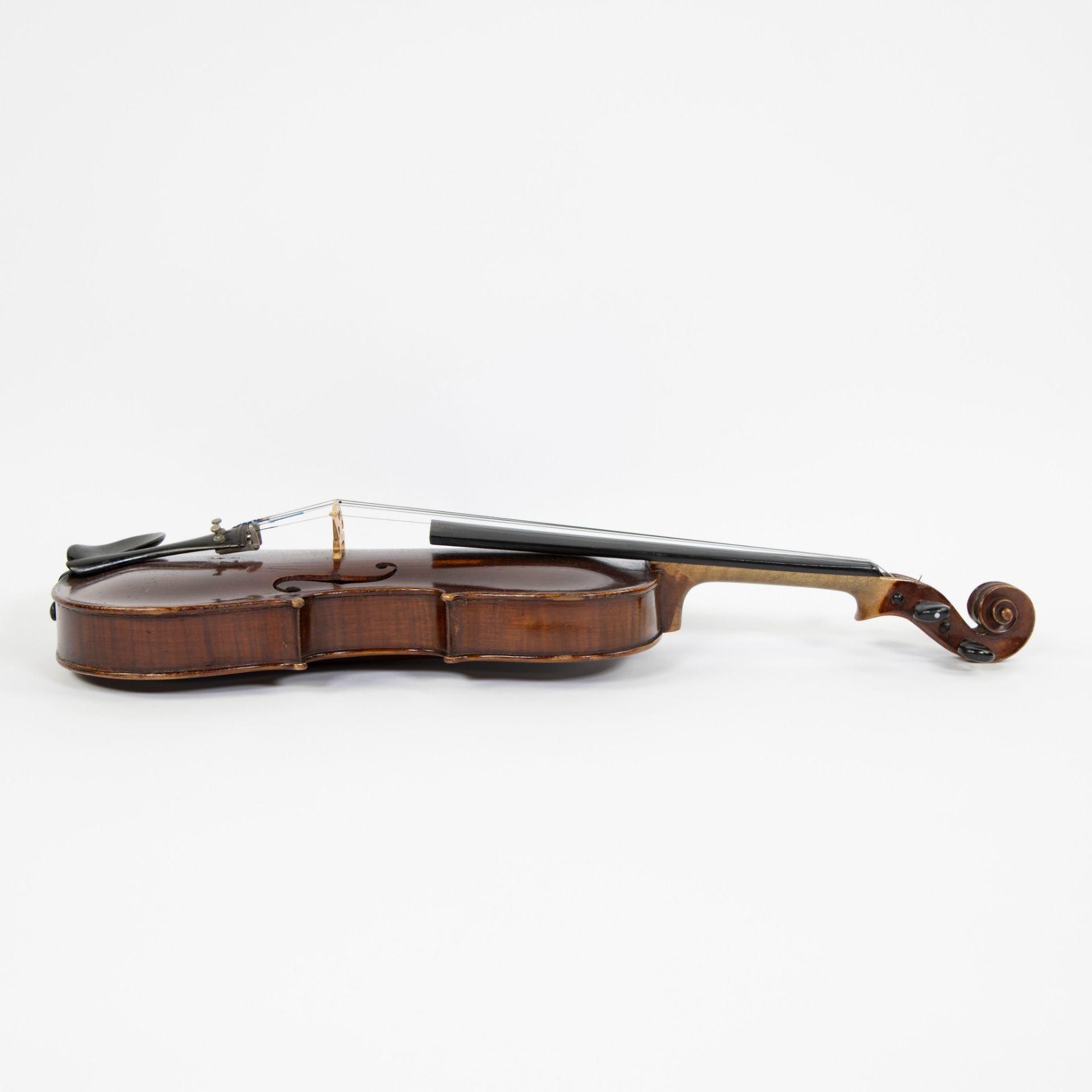 Violin label 'Jocubus Stainer in Absam Prope Oenipontem', 363mm, case incl. - Image 4 of 5