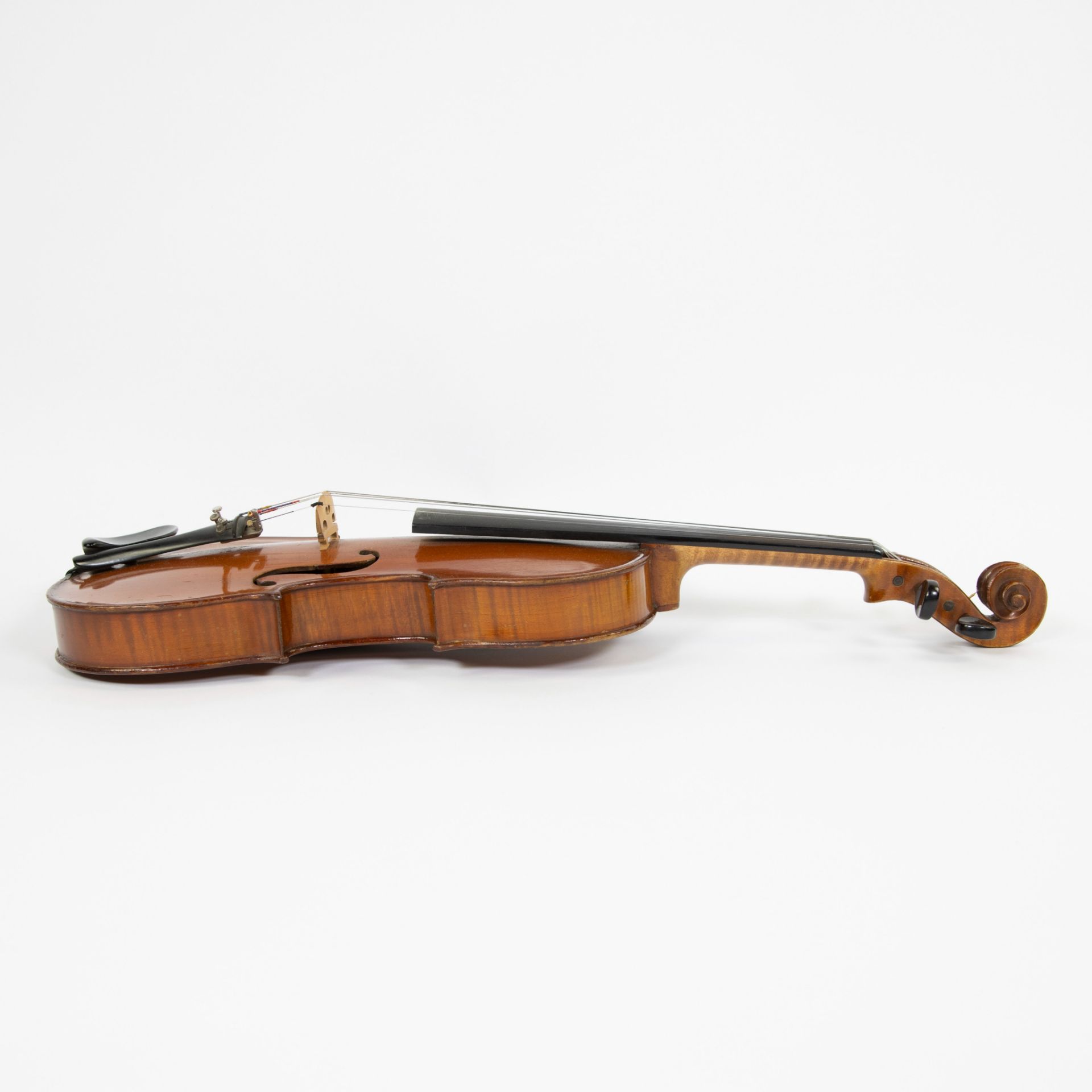 Study violin, label' Andreas Borelli, fecit Parmae, ano 1720, 359mm, playable, soft case - Image 3 of 5