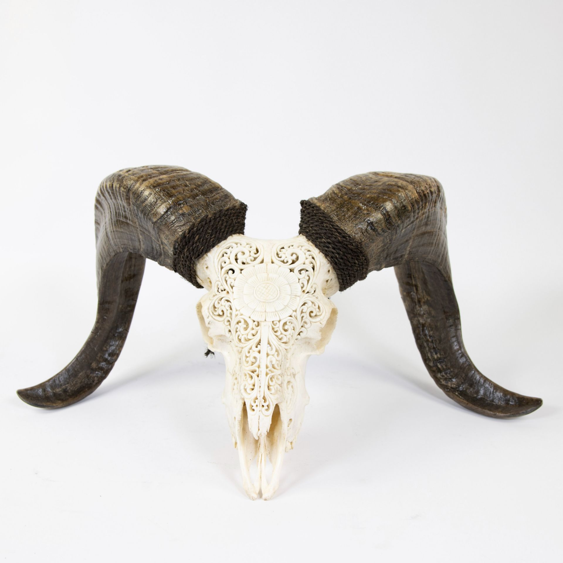 Finely crafted skull of a ram - Image 2 of 5