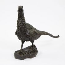 Antonio AMORGASTI (1880-1942), patinated and partly gilt bronze pheasant, signed and dated 1920.