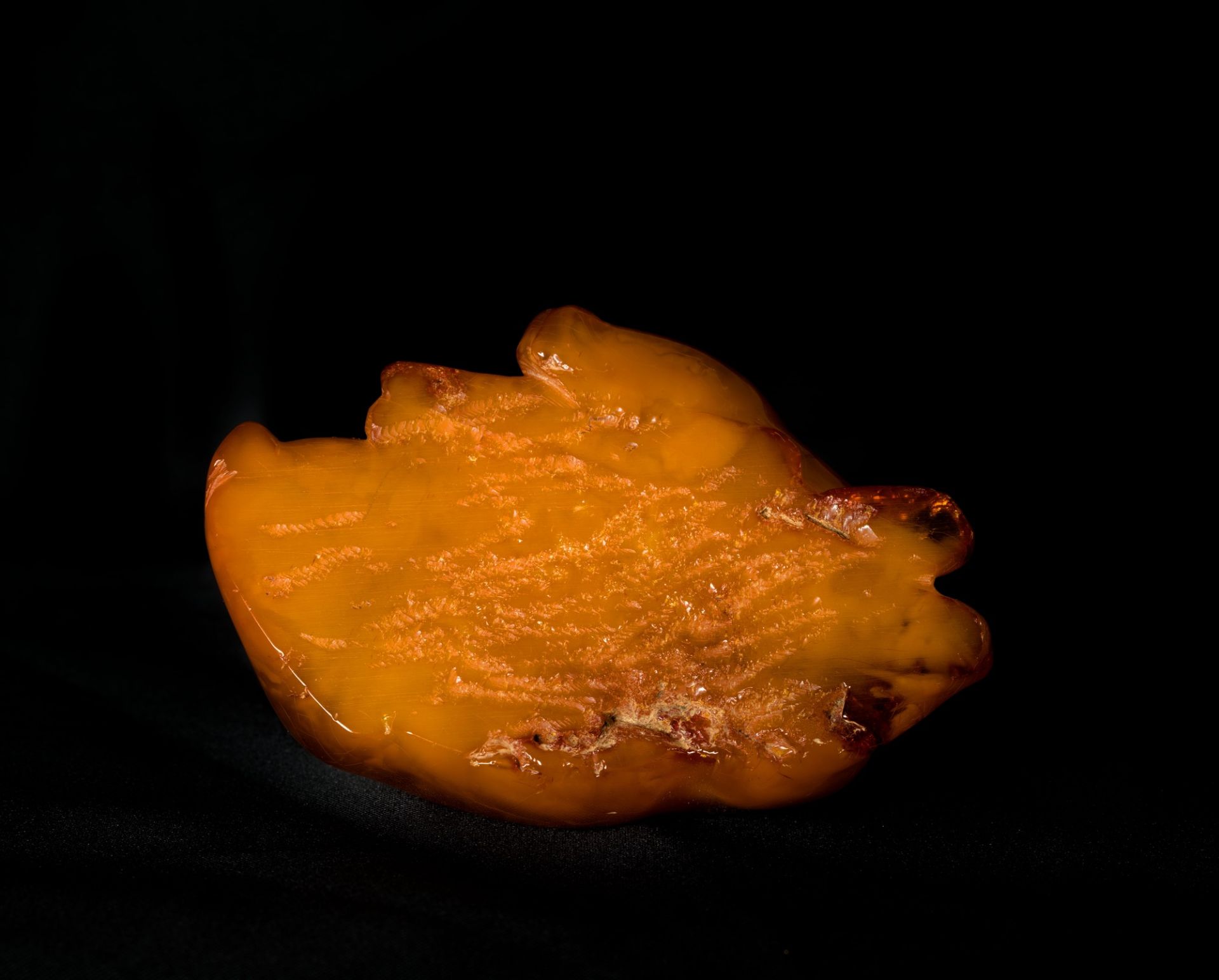 A RARE CARVED AMBER DEER IN RECUMBENT POSE h. 2,5 cm x l. 8 cm - Image 4 of 4