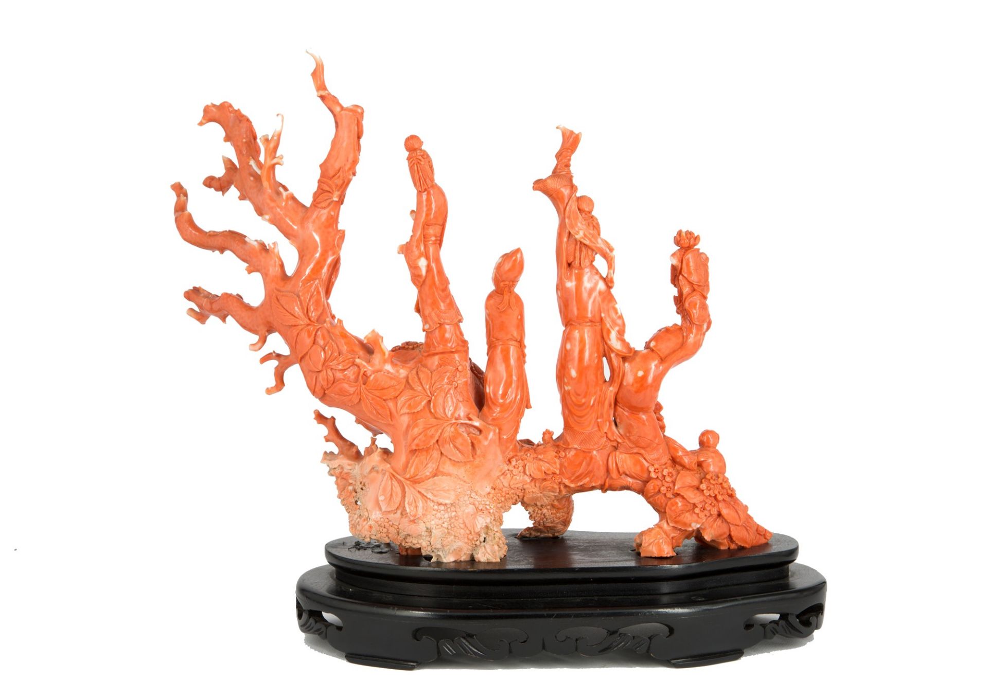 RAMIFIED MOMO CERASULOUS CORAL STATUE h. 28 cm x l 40 cm - Image 6 of 7