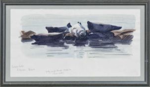 COMMON SEALS, KILDONAN, ARRAN, A WATERCOLOUR BY JOHN THRELFALL